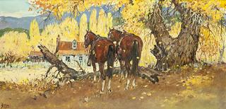 Under the Cottonwoods
