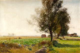 Cabbage fields, motif from Viby