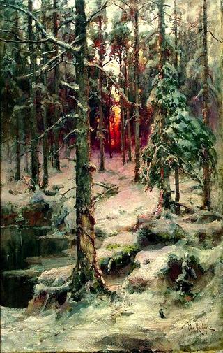 Winter in the Pine Forest