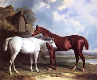 A Grey and a Chestnut Hunter outside a Barn