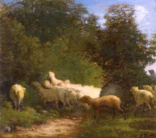 Sheep Grazing along a Hedgerow