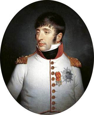 路易·拿破仑，荷兰国王