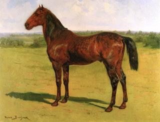 A Bay Horse in a Landscape