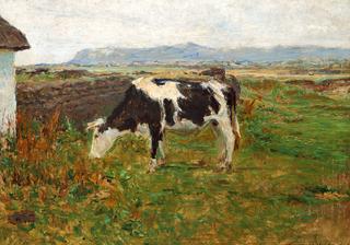 A Cow at Svinkløv, Jutland