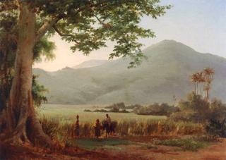 Antilian Landscape, St. Thomas