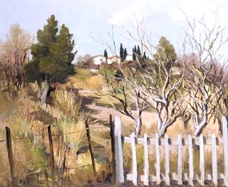 Orchard in Provence
