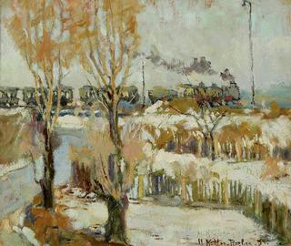 Train in a winter landscape