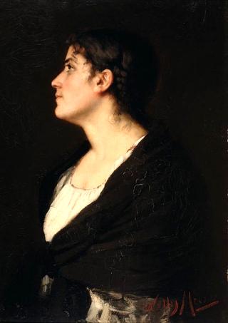 Portrait of a Lady with a Shawl