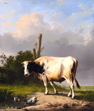 A Cow in a Wide Landscape