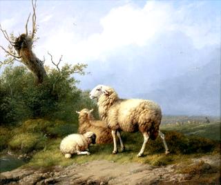 Sheep and Lambs on a Hilltop