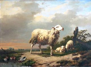 Sheep with Lambs and Ducks