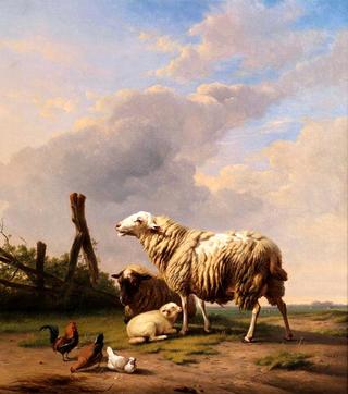 Sheep and Chickens in a Wide Landscape