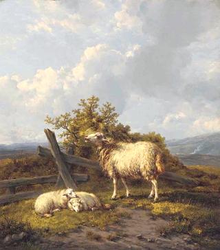 Sheep and Lambs in a Pasture