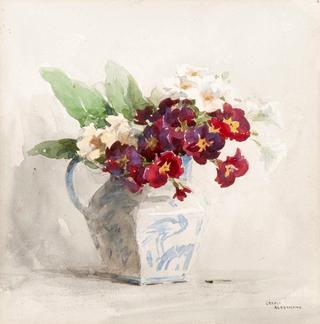 Still Life of Primulas in a Jug