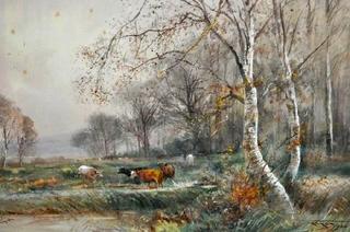 Cows Grazing in a Meadow