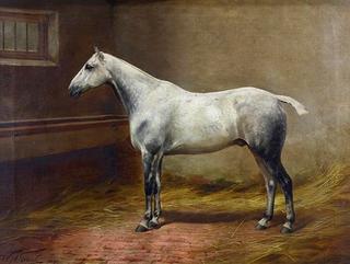 White Horse