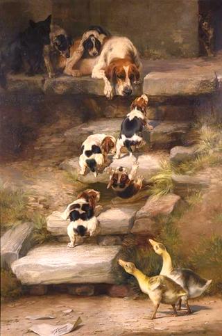 Hound Puppies at Play while Other Animals Look on