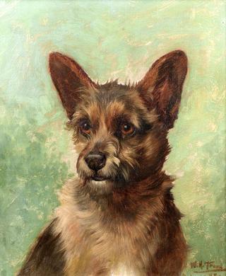 Head of a Terrier