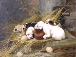 Sweet Slumber