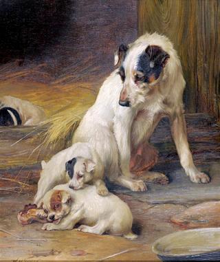 Jack Russell Terrier with Her Pups beside a Kennel