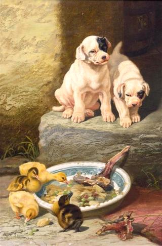 Feeding