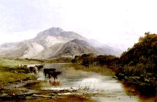 Cattle in a Highland Landscape