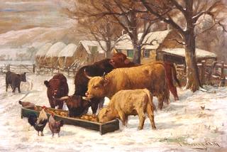 Highland Cattle and Chickens at a Trough in the Snow