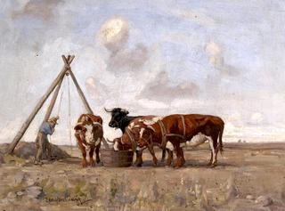 Farmer Watering Bulls at a Trough