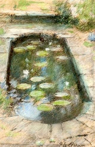 Lily Pond