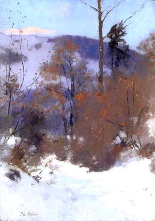 Wooded Landscape under Snow