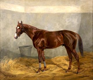 The Racehorse Phantom