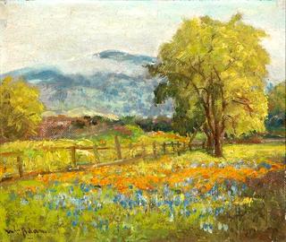 Poppies and Lupine, Santa Clara Valley