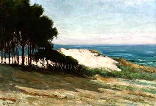 Sand Dune - Carmel