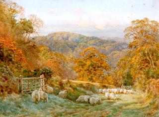 Sheep being Guided along a Wooded Glade Path in Autumn