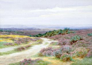 On the Fringe of the Moor, Thursley Common