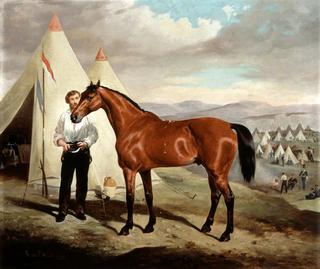布里格斯爵士，卓德嘉勋爵的马，17骑兵，（1854年，在克里米亚的营地，在巴拉克