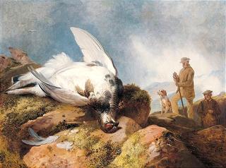 Ptarmigan Shooting