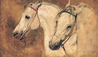 Study of Horse's Heads