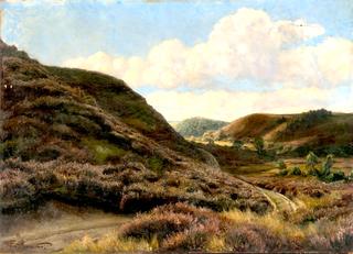 Path through Rolling Hills