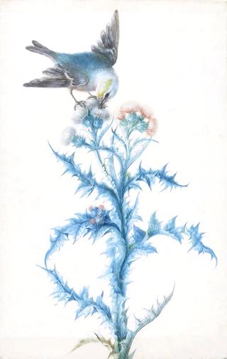 A Bird on a Thistle