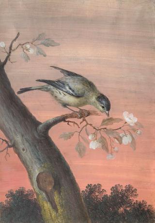 A Sparrow on a Spring Branch