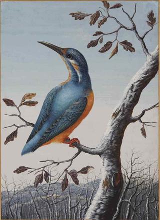 A Kingfisher