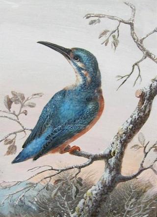 A Kingfisher on a Branch