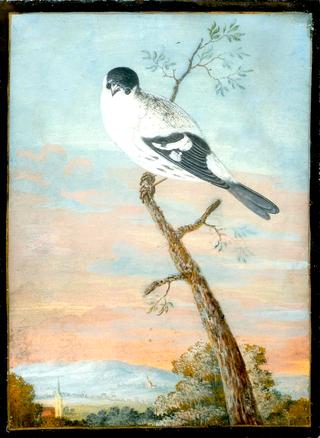 Bird on a Branch before a Landscape