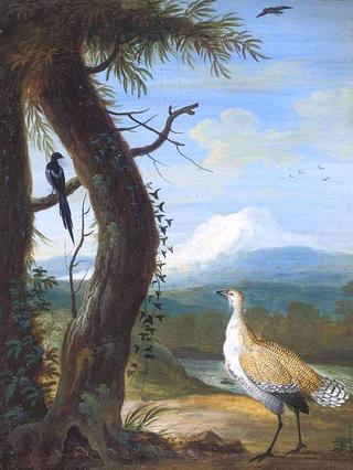 A Bustard and a Magpie in an Exotic Landscape