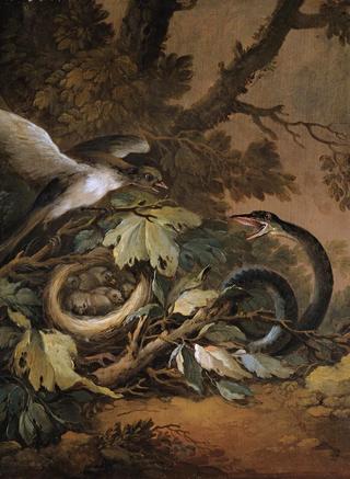 A Still Life with a Viper and a Bird's Nest