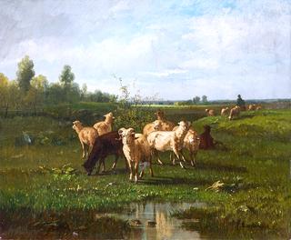 White and Black Sheep in a Pastoral Landscape