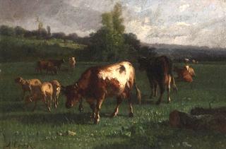 Cows and Sheep in a Pasture