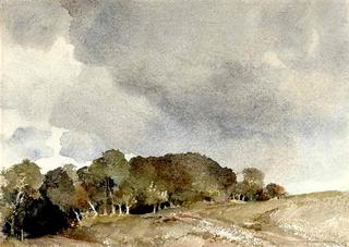 Clouds over a Spinney, Goodwood