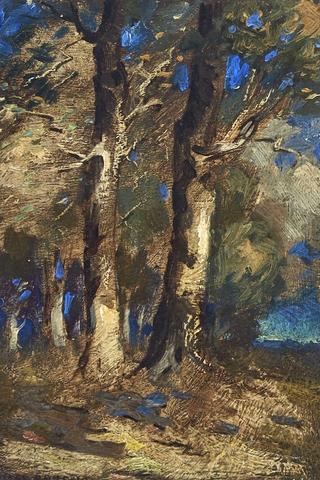Tree Study